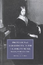 Professional Domesticity in the Victorian Novel: Women, Work and Home (Cambridge Studies in Nineteenth-Century Literature and Culture, Band 14)