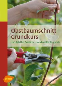 Obstbaumschnitt Grundkurs: Von Apfel bis Zwetsche. So schneiden Sie gut ab