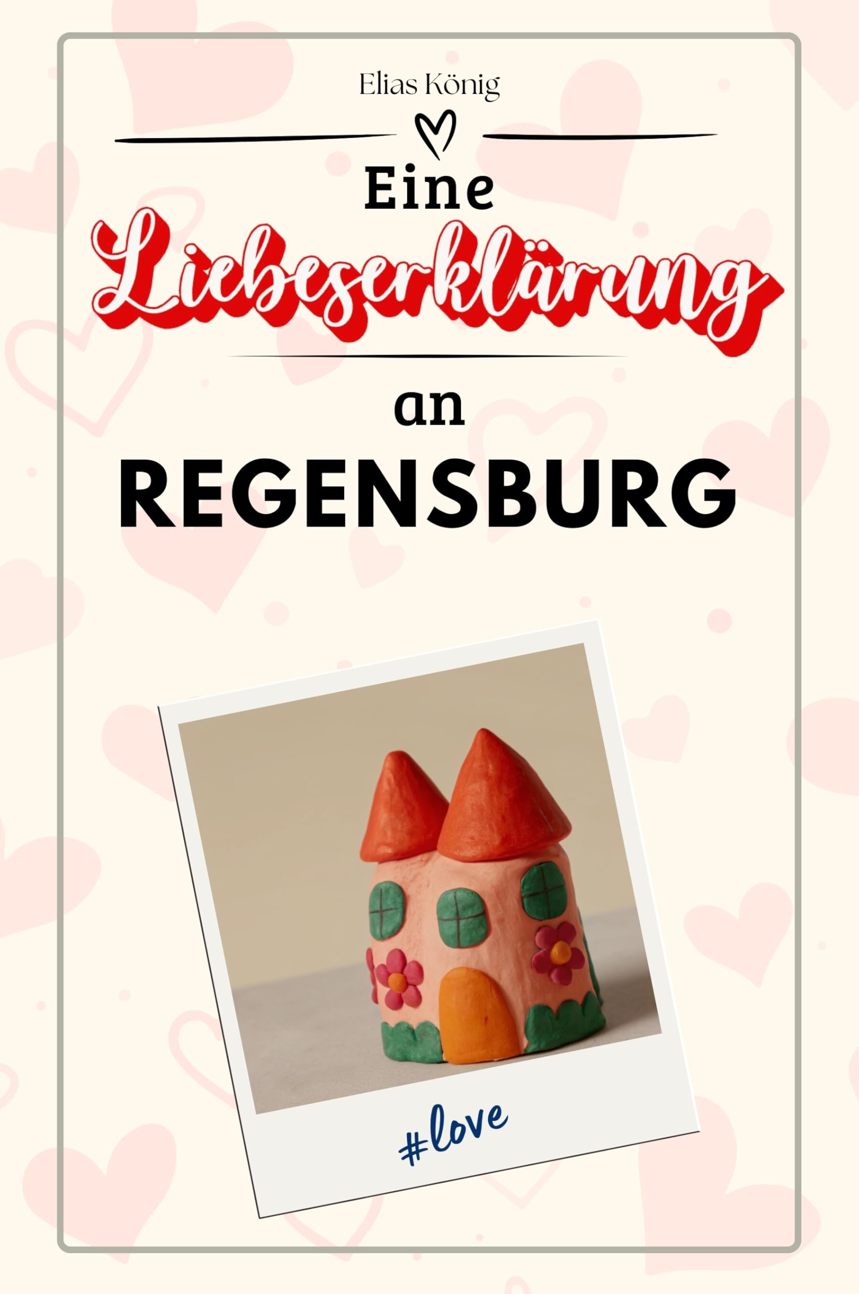 Eine Liebeserklärung an Regensburg - Die große Hommage - das perfekte Geschenk für Weihnachten und Geburtstag und jeden Anlass