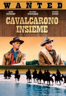 Cavalcarono insieme [IT Import]