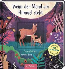 Wenn der Mond am Himmel steht: Das besondere Gutenachtbuch mit Schiebern | Wunderschöne Illustrationen mit gereimten Gute-Nacht-Versen für Kinder ab 24 Monaten