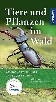 Tiere und Pflanzen im Wald: 120 Arten einfach bestimmen (Kosmos-Naturführer Basics)