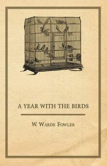 A Year with the Birds