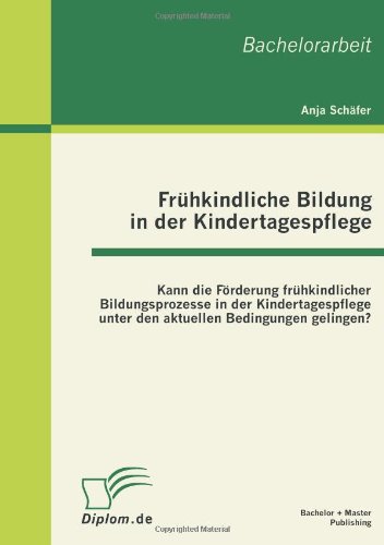 Frühkindliche Bildung in der Kindertagespflege: Kann die Förderung frühkindlicher Bildungsprozesse in der Kindertagespflege unter den aktuellen Bedingungen gelingen?