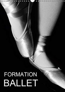 Formation Ballet (Calendrier mural 2019 DIN A3 vertical): Photos de cours de ballet et de chaussons de danse. (Calendrier mensuel, 14 Pages ) (Calvendo Art)