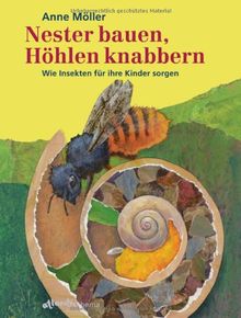 Nester bauen, Höhlen knabbern: Wie Insekten für ihre Kinder sorgen