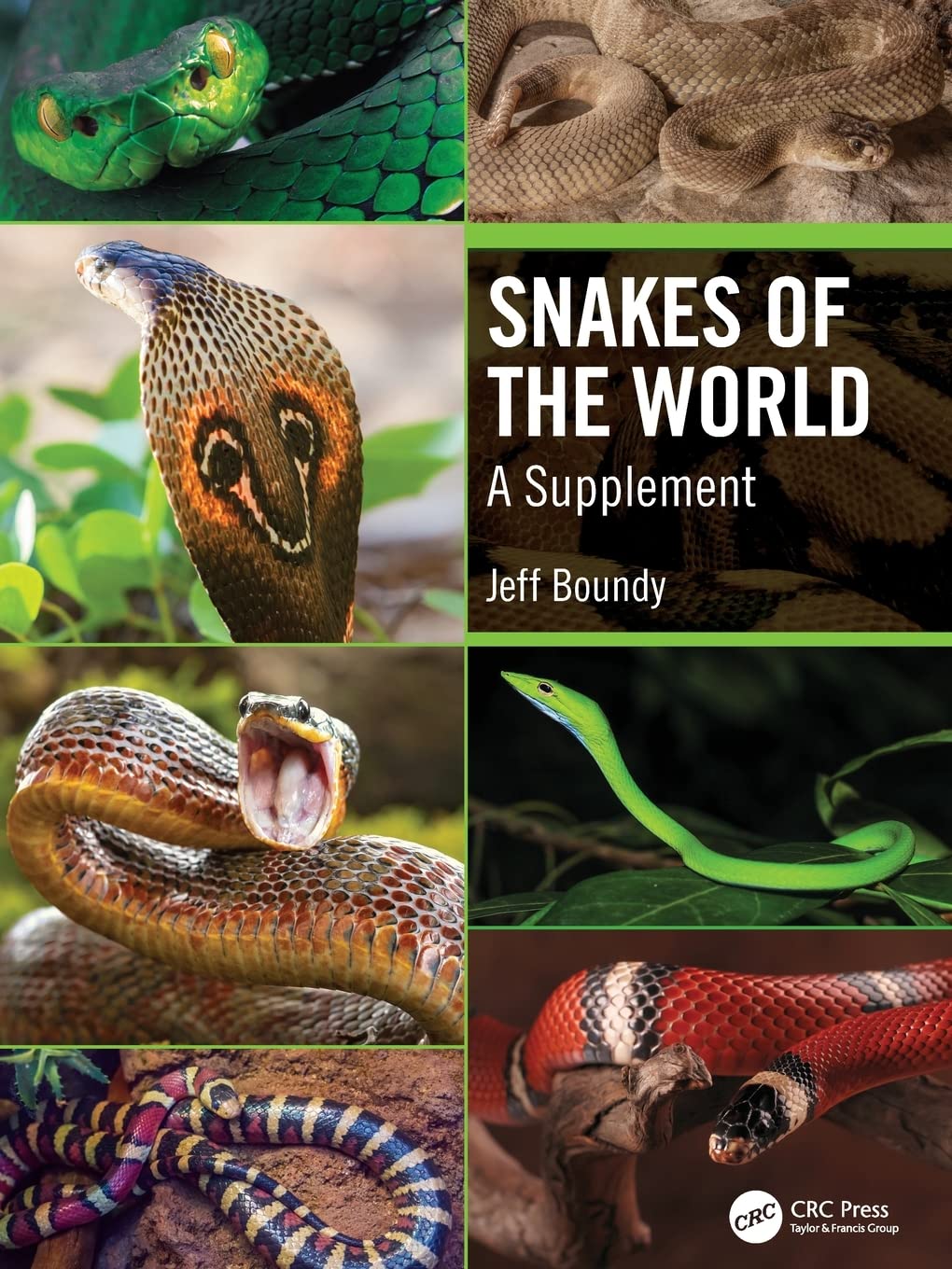 Jeff Boundy Snakes Of The World, A Supplement