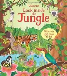 Look Inside the Jungle (Look Inside Board Books)