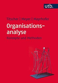 Organisationsanalyse: Konzepte und Methoden