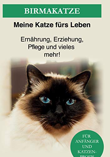 Birma Katze: Die heilige Birma Katze - Ernährung, Erziehung, Pflege und vieles mehr!