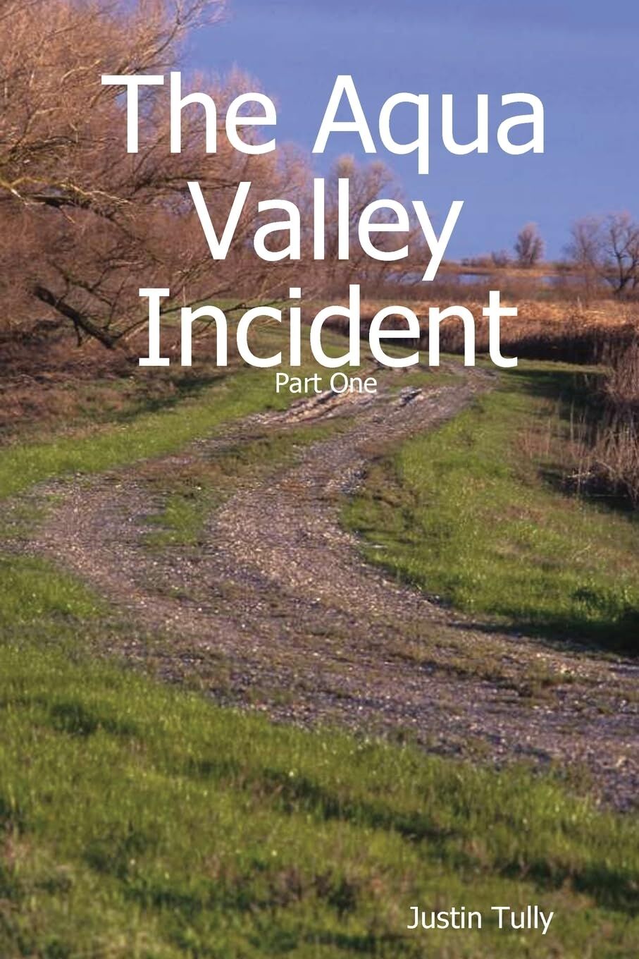 The Aqua Valley Incident