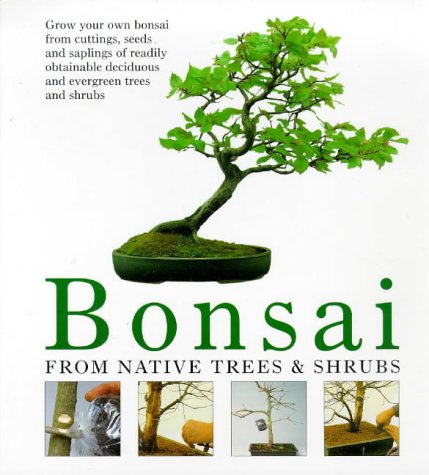 Bonsai aus heimischen Bumen und Struchern. Anzucht, Gestaltung, Pflege  von Busch, Werner M. - Gebundene Ausgabe