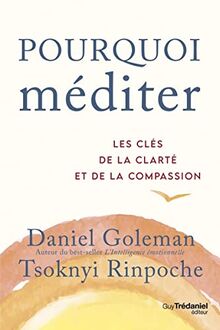 Pourquoi méditer : les clés de la clarté et de la compassion