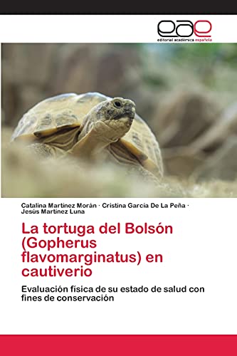 La tortuga del Bolsón (Gopherus flavomarginatus) en cautiverio: Evaluación física de su estado de salud con fines de conservación