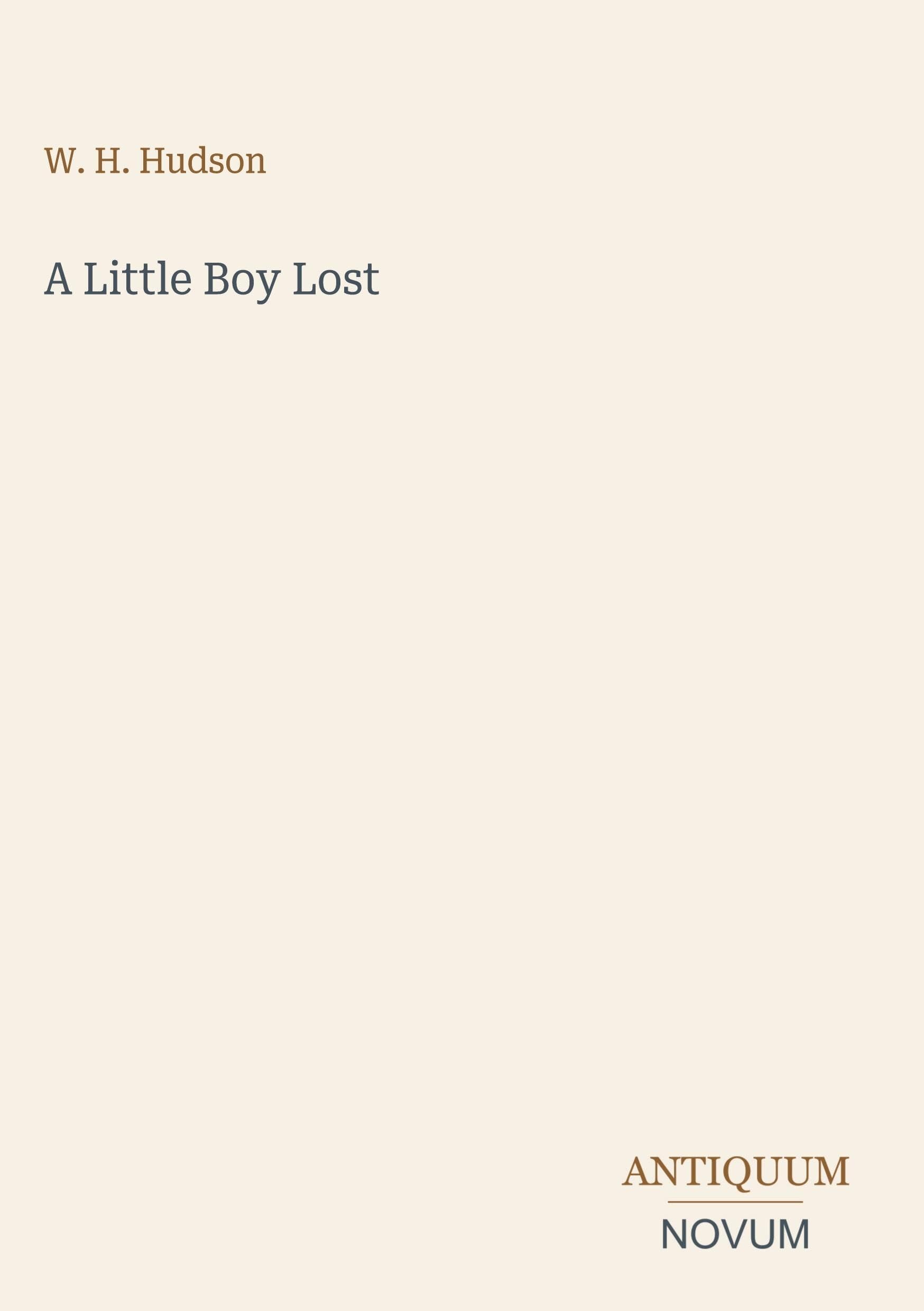 A Little Boy Lost