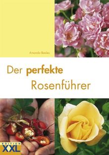 Der perfekte Rosenführer