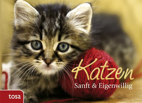 Katzen: Gedanken und Sprüche