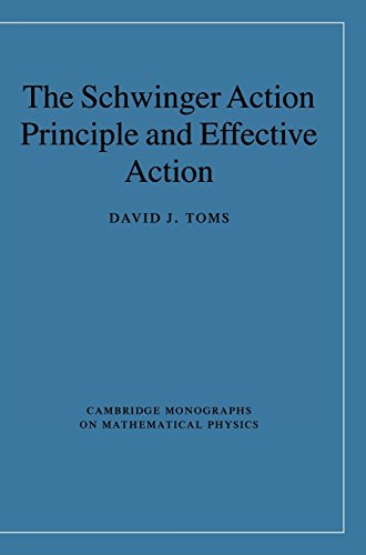 The Schwinger Action Principle and Effective Action (Cambridge Monographs on Mathematical Physics)
