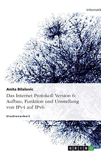 Das Internet Protokoll Version 6: Aufbau, Funktion und Umstellung von IPv4 auf IPv6