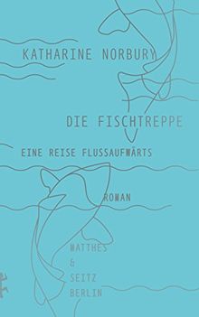 Die Fischtreppe: Eine Reise flussaufwärts