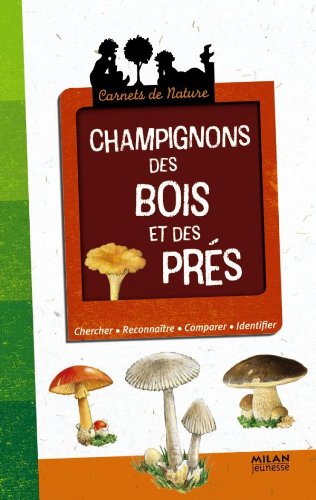 Champignons Des Bois Et Des Prés