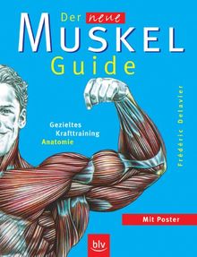 Der neue Muskel-Guide: Gezieltes Krafttraining - Anatomie