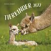 Tierkinder 2022: Broschürenkalender mit Ferienterminen. Babys von Tieren in süßen Bildern. 30 x 30 cm