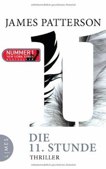 Die 11. Stunde: Thriller