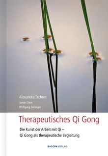 Therapeutisches Qi Gong: Die Kunst der Arbeit mit Qi, Qi Gong als therapeutische Begleitung