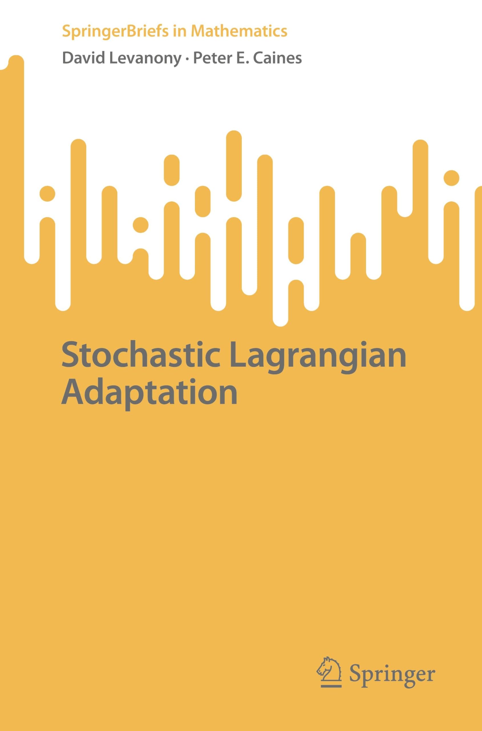 Stochastic Lagrangian Adaptation (SpringerBriefs in Mathematics)