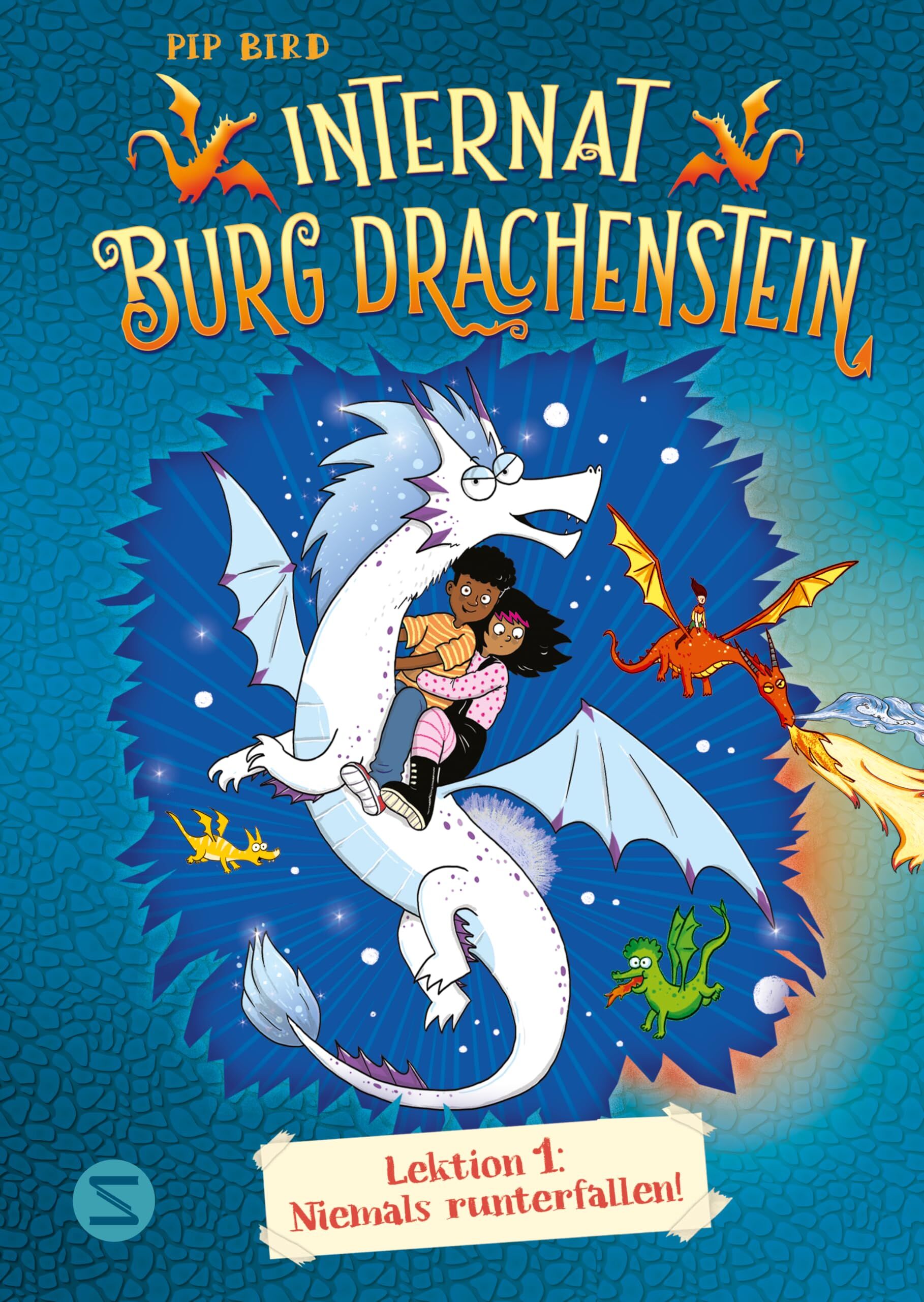 Bird, Pip: Internat Burg Drachenstein. Drachenreiten Lektion 1: Niemals runterfallen!