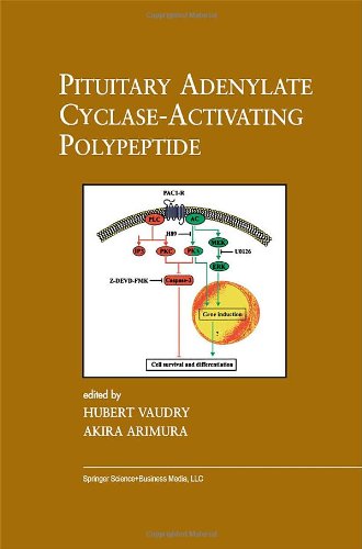 Pituitary Adenylate Cyclase-Activating Polypeptide (Endocrine Updates)
