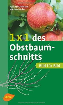 1 x 1 des Obstbaumschnitts: Bild für Bild