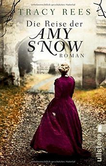 Die Reise der Amy Snow: Roman