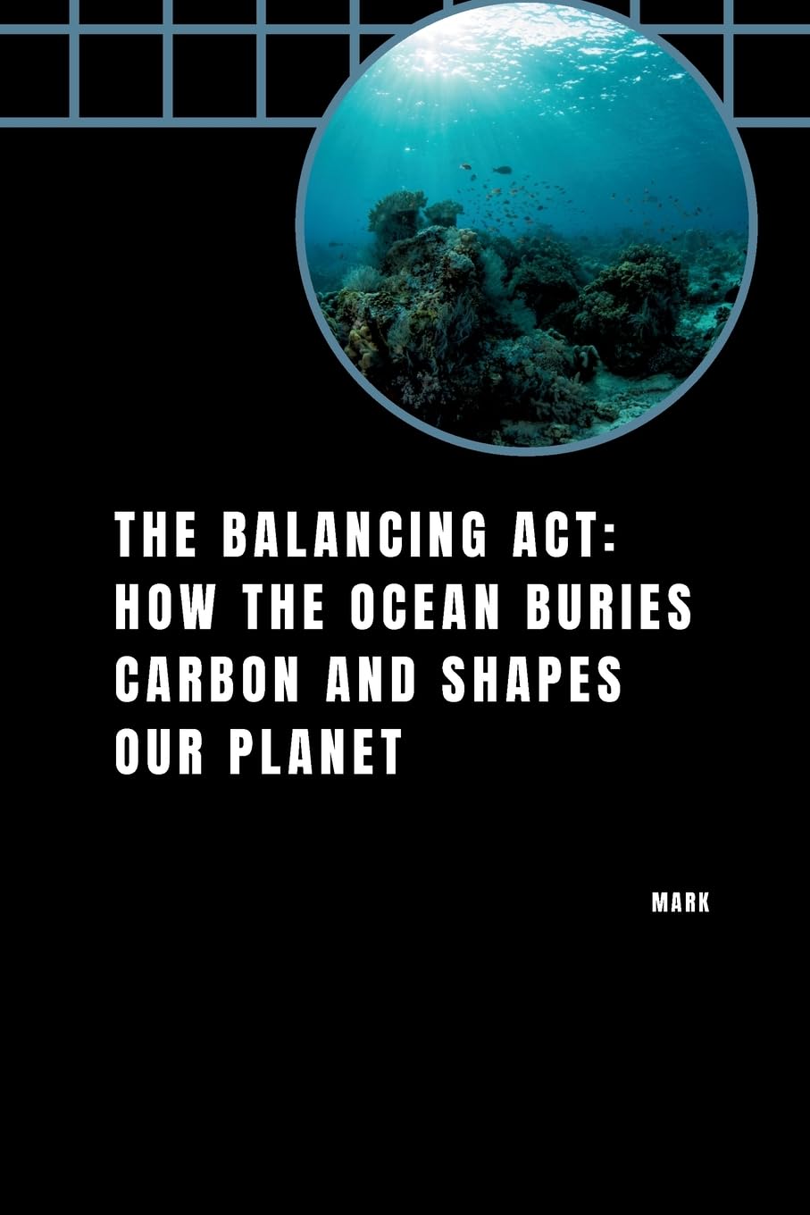 The Balancing Act: How the Ocean Buries Carbon and Shapes Our Planet: DE
