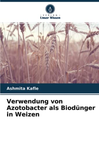 Verwendung von Azotobacter als Biodünger in Weizen