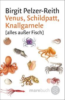 Venus, Schildpatt, Knallgarnele: [alles außer Fisch]