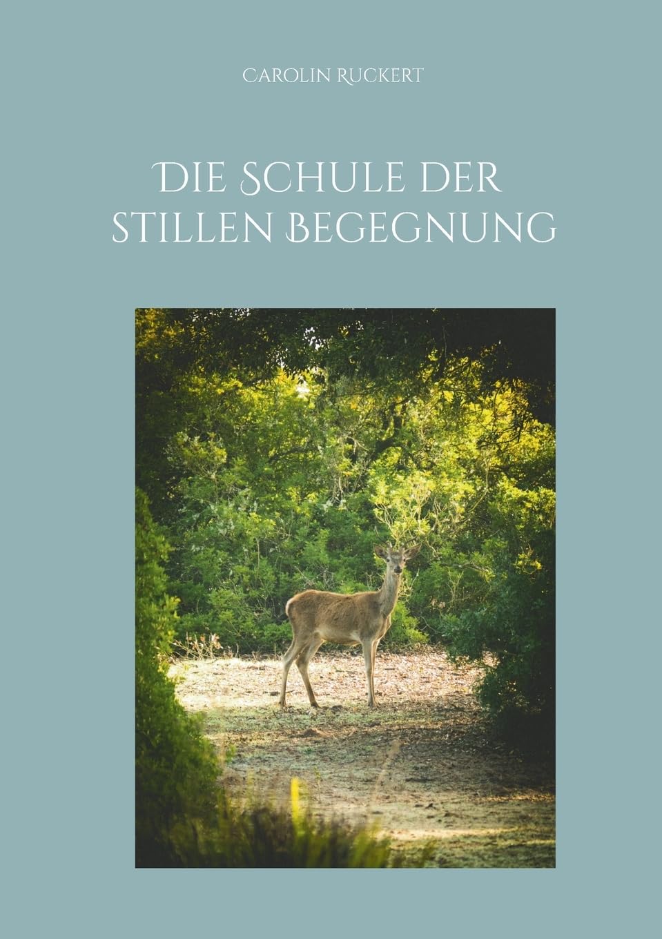 Die Schule der stillen Begegnung