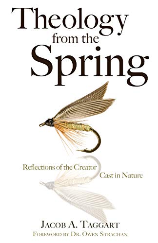 Theology from the Spring: Reflections of the Creator Cast in Nature