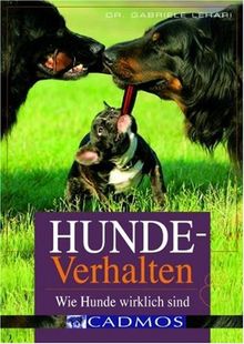 Hundeverhalten: Wie Hunde wirklich sind