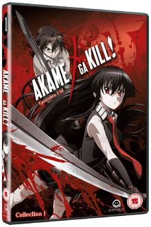 Akame Ga Kill - Collection 1 (Episodes 1-12) [DVD] [NTSC]