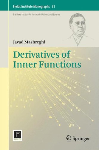 Derivatives of Inner Functions (Fields Institute Monographs)