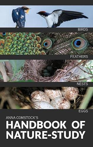 Comstock, Anna B The Handbook Of Nature Study In Color - Birds