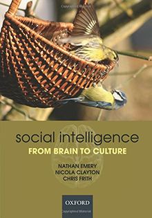 Social Intelligence: From Brain to Culture