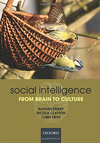 Social Intelligence: From Brain to Culture