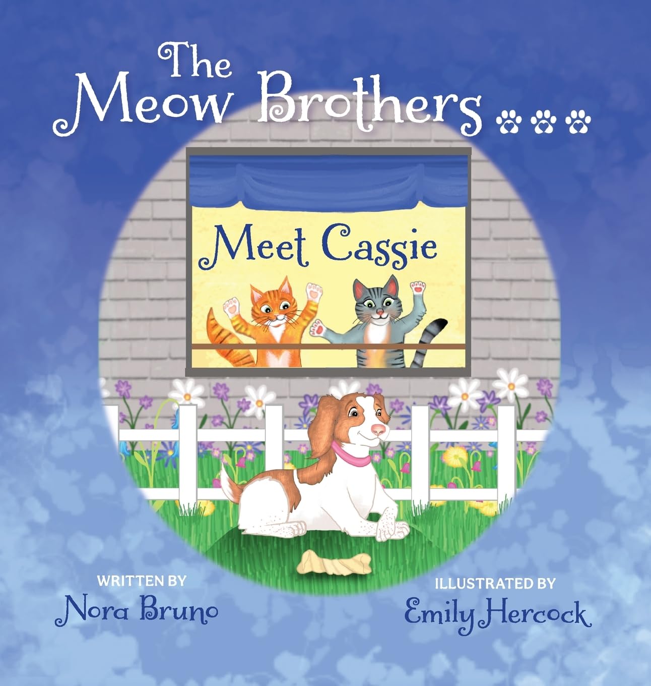 The Meow Brothers...Meet Cassie