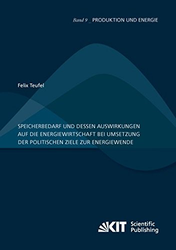 Speicherbedarf und dessen Auswirkungen auf die Energiewirtschaft bei Umsetzung der politischen Ziele zur Energiewende (Produktion und Energie / ... Institut für Umweltforschung)