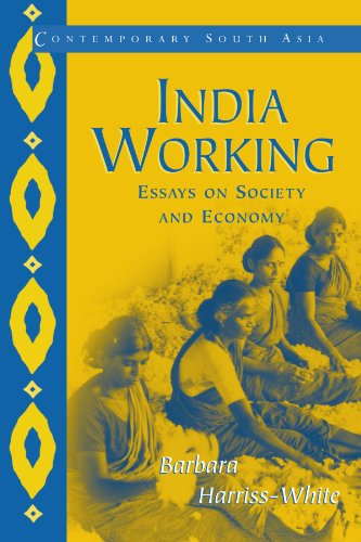 India Working: Essays on Society and Economy (Contemporary South Asia, Band 8)