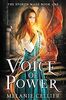 Voice of Power (The Spoken Mage, Band 1)