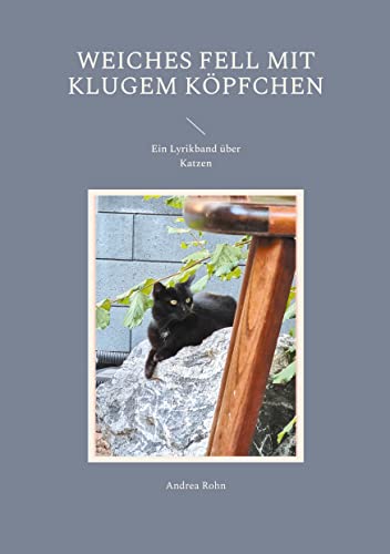 Weiches Fell mit klugem Köpfchen: Ein Lyrikband über Katzen